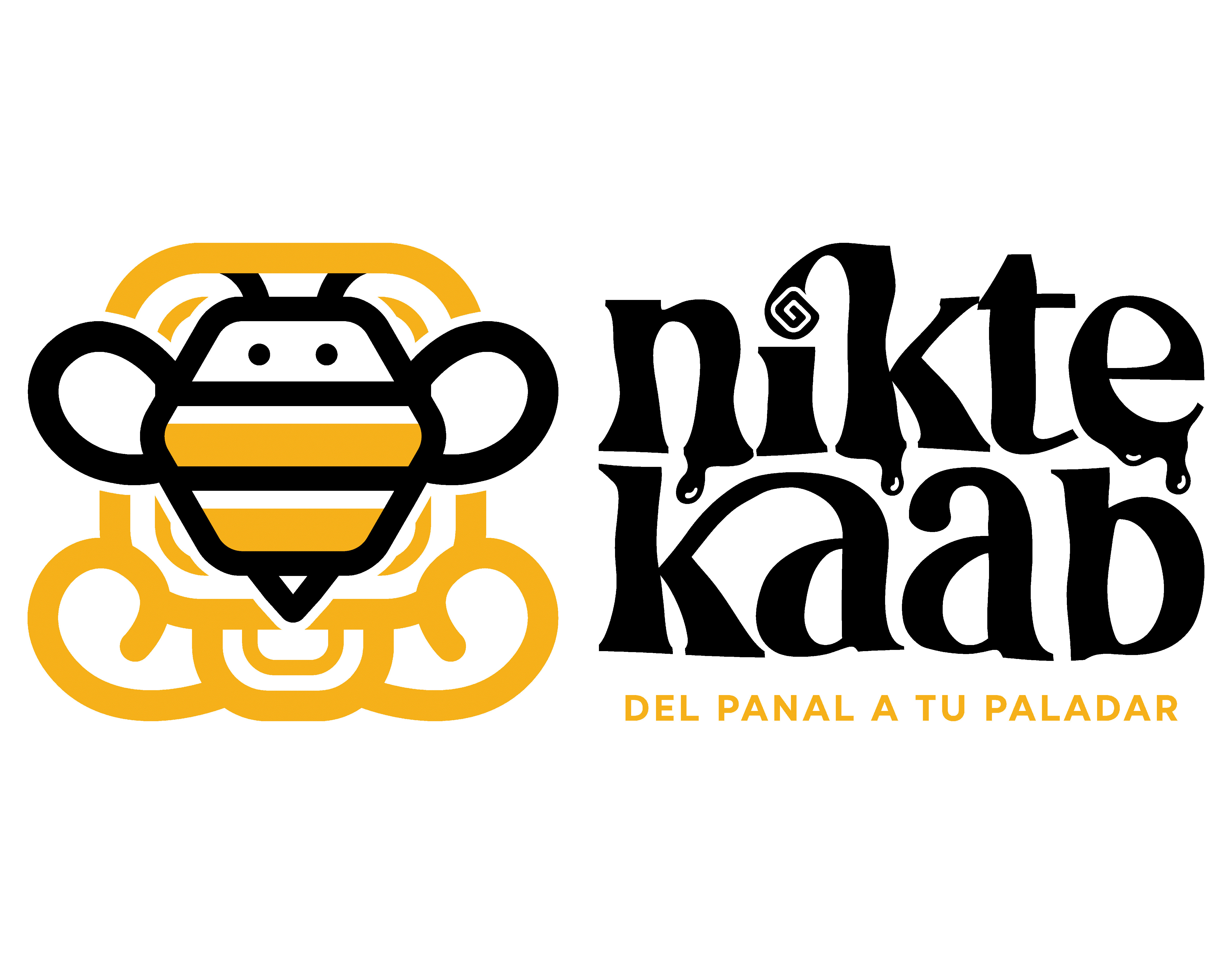 Nikte-Kaab